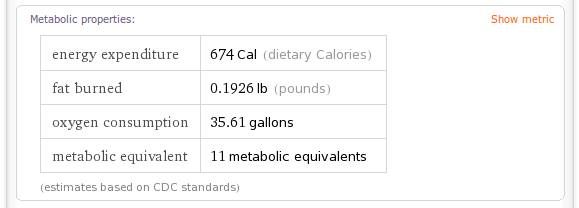 Snapshot of Wolfram Alpha Calories